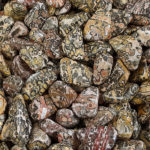 Jasper Leopard Skin
