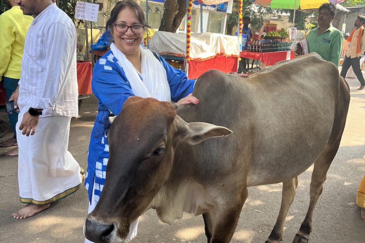 Why We Are Called Holy Cow!